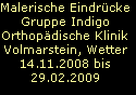 Malerische Eindr�cke
Gruppe Indigo
Orthop�dische Klinik
Volmarstein, Wetter
14.11.2008 bis
29.02.2009