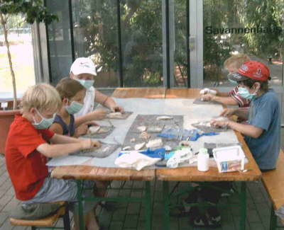 BGProjekt2008art-kruska 00A