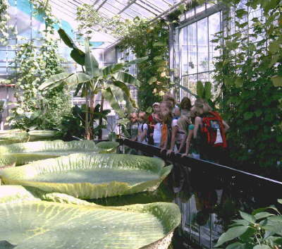 BGProjekt2008art-kruska 00C