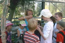 BGProjekt2008art-kruska 00G