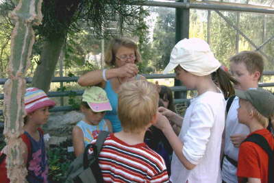 BGProjekt2008art-kruska 00G