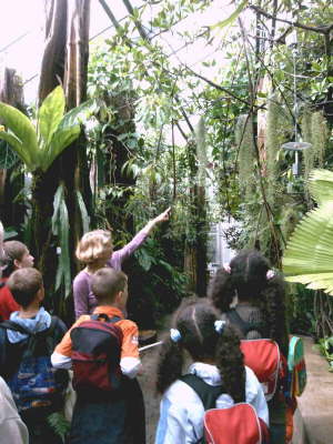 RundgangBotanischer GartenTrop2507