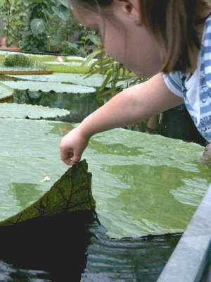 Rundgang Botanischer Garten607