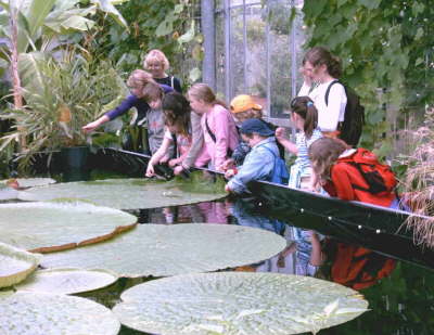 Rundgang Botanischer Garten707