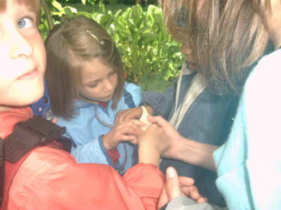 Rundgang Botanischer GartenTropen2207